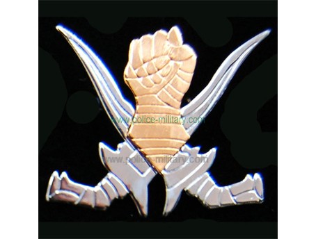 CB40311 Cap badge
