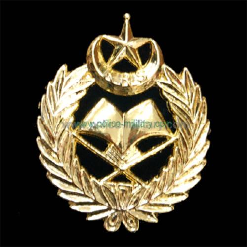 CB40312 Cap badge