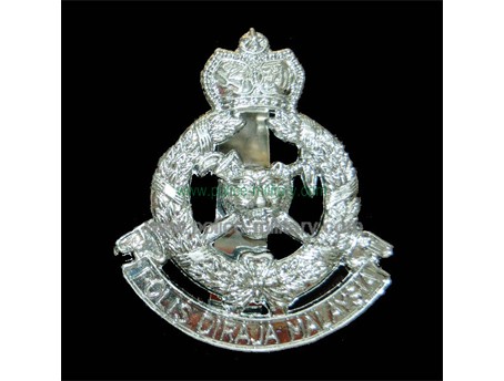 CB40313 Cap badge