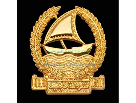 CB40319 Cap badge