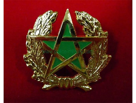 CB40322 Cap badge