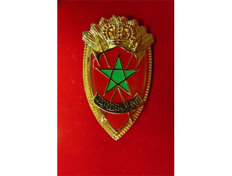 CB40323 Cap badge