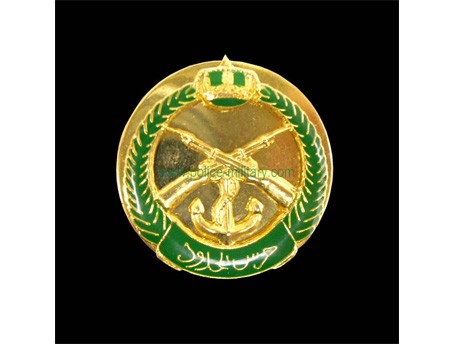 CB40403 Collar badge