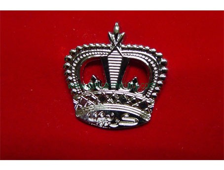 CB40433 Collar badge