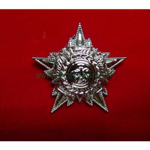 CB40434 Collar badge