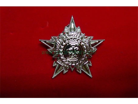 CB40434 Collar badge