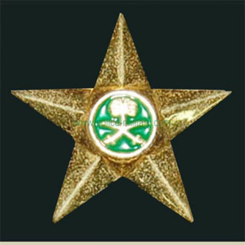 CB40603 Shoulder badge