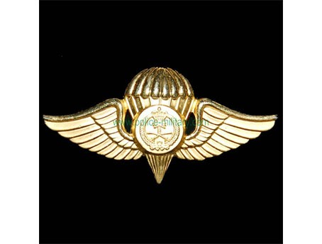 CB40807 Insignia