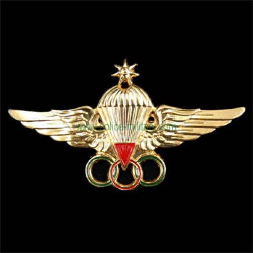 CB40823 Insignia