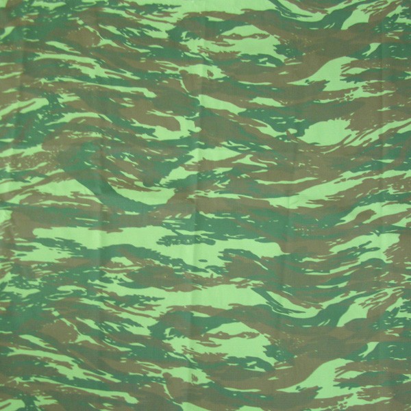 CB60108 Fabric Pattern