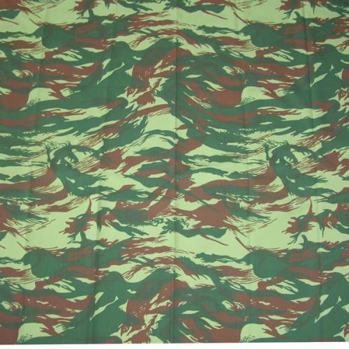 CB60111 Fabric Pattern