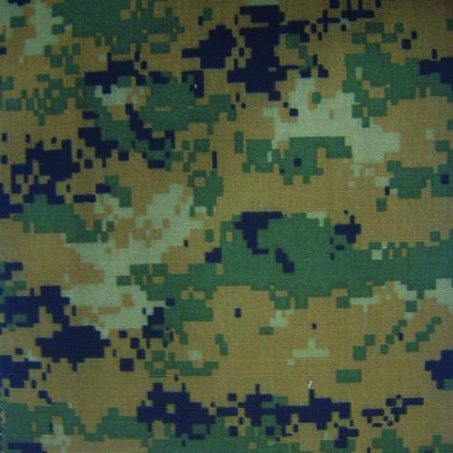 CB60123 Fabric Pattern