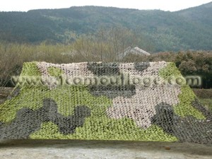 Visual Camoulage net